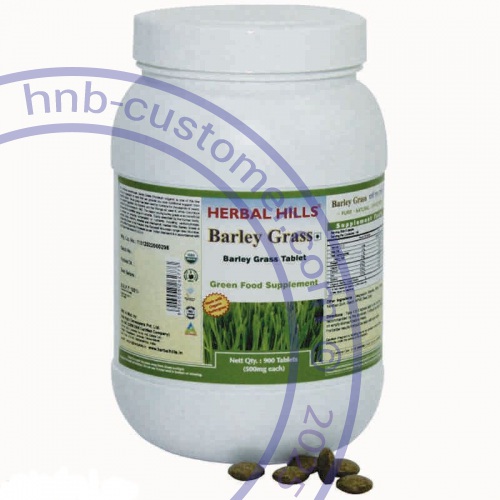 barley-grass photo