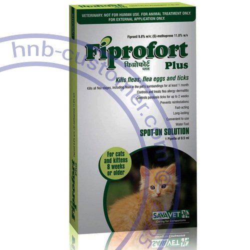 fiprofort-plus-cats-and-kittens photo