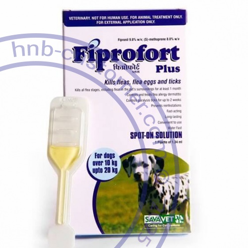 fiprofort-plus-dog photo